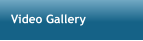 Video Gallery