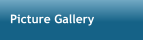 Picture Gallery