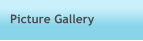 Picture Gallery